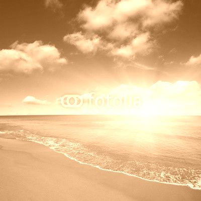 beach and sea