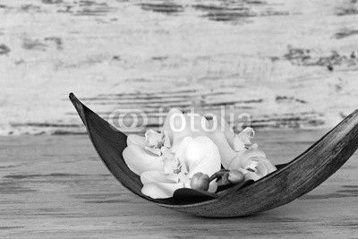 Orchideen in Palmblattschale