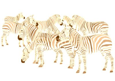 Farbenfrohe Zebras