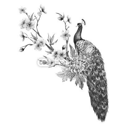 Watercolor peacock with flowers