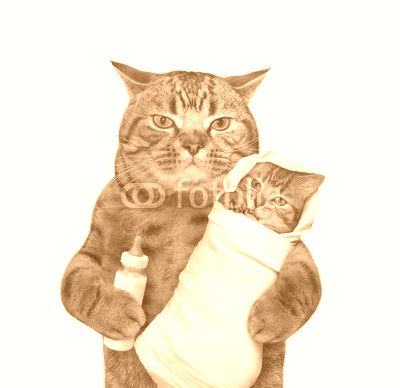 The cute cat is holding his baby in the one paw and a bottle of milk in other one. White background.