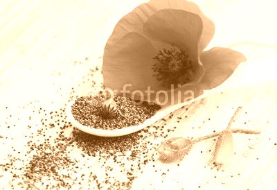 Mohn