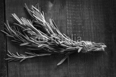 Rosemary on a wooden background