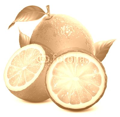 Fresh limes with leaves
