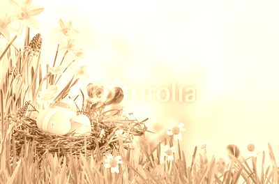 Fresh spring background with Easter Eggs
