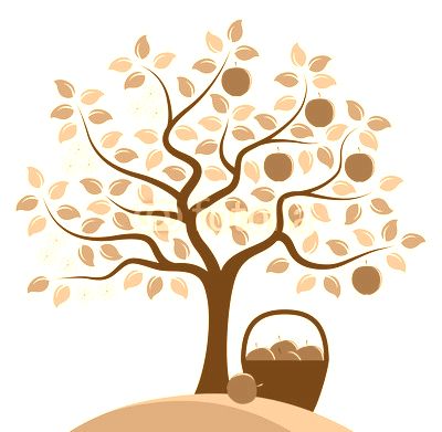 apple tree in two seasons