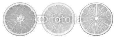 Citrus fruit. Orange, lemon, lime, grapefruit. Slices isolated o