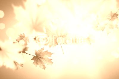 Autumn background