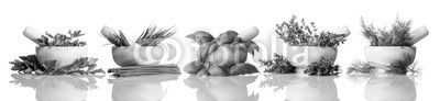 Pestle and Mortar with Green Herbs on White Background
