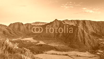 Plaine des palmiste ,la réunion