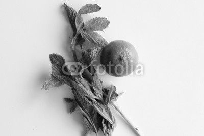 High angle view of natural looking green lime and mint on white table (selective focus)