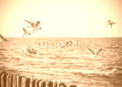 Filtered Vintage Retro Styled birds on the sea.
