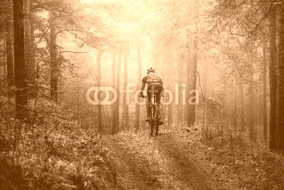 male athlete mountainbiker rides a bicycle along a forest trail. in forest mist, mysterious view