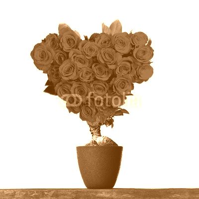 Tree of love