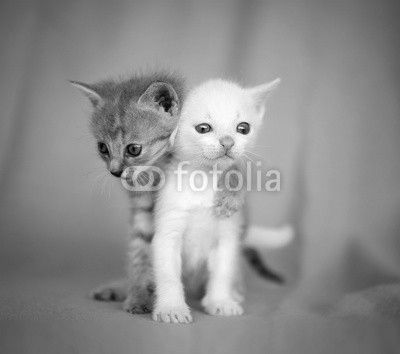 sweet hug