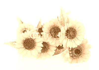 Composition of bright artificial sunflowers on white background.