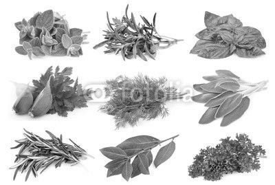 Set from green spice