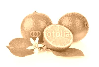 lime on white background