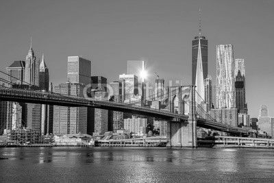 Famous Skyline of downtown New York City at early morning light