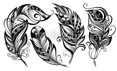 Set of feathers
