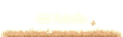 HERBE PRINTEMPS