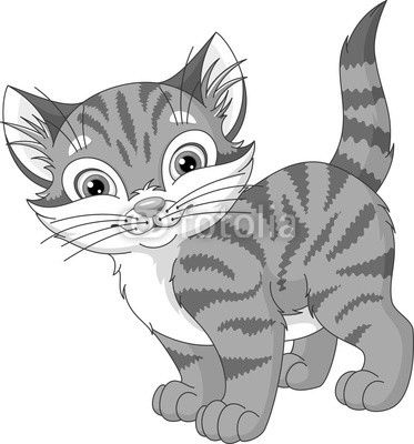 Gray Cat