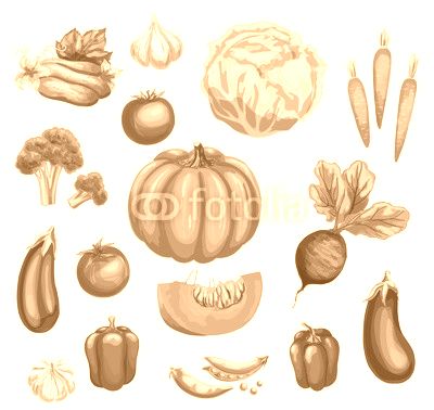 Vegetable watercolor set of fresh organic veggies