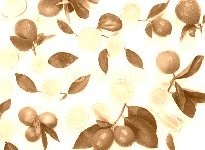 Pattern made of lime fruit.