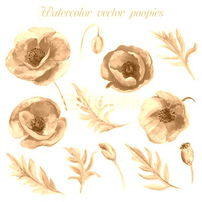Vector set of red watercolor poppy flowers.