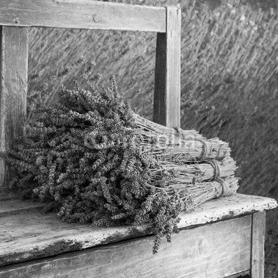 Bouquets on lavenders on a old bench