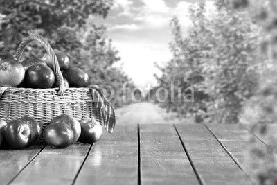 apples 