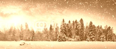 Beautiful tree in winter landscape in late evening in snowfall