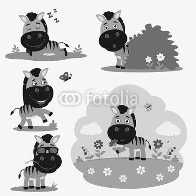 Vector set funny zebra in different poses on summer meadow with flowers. Collection little zebra in cartoon style.