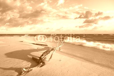 Konar na morskiej plaży