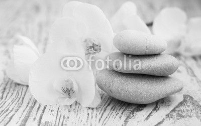 Orchids spa