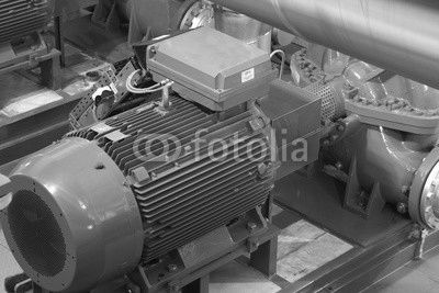 Water pump