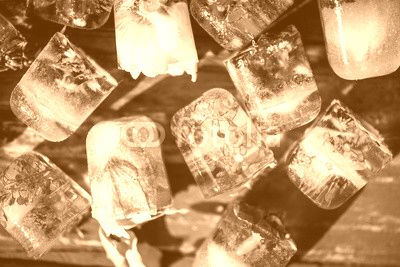 Frozen Flowers in Ice Cubes on Rustic Wooden Background