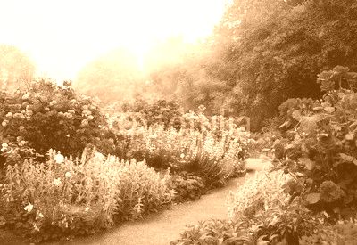 Art flowers in the morning in an English park