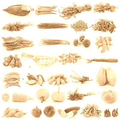 vegetable on white background
