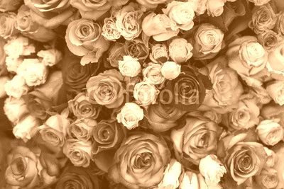 beautiful bouquet of multicolored roses