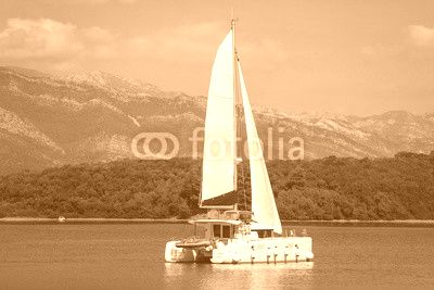 Sailing catamaran