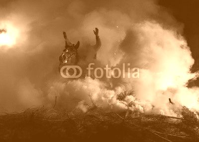 Horses jumping above the fire without fear