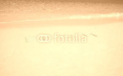 Wave of the sea on the sand beach, Letters Beach