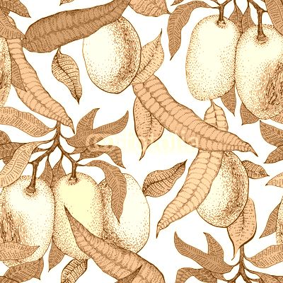 Mango tree vintage seamless pattern. Botanical mango fruit background. Engraved mango. Vector illustration