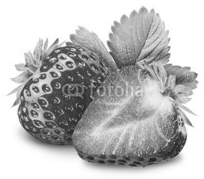 Strawberries on the white background.