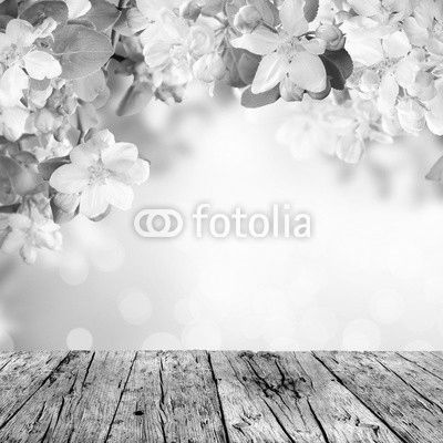 Spring background with free space for text