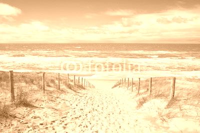 sand path to sea beach in sunny day