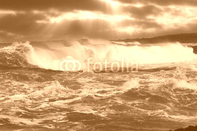 Ocean Wave