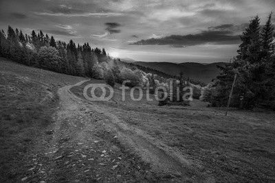 Path in polish mountains