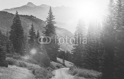 Mountain Countryside Road